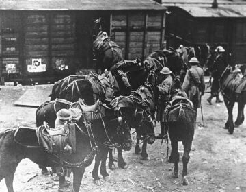 In this March 7, 1918 file photo, men of U.S. Battery E, 5th Field Artillery Battalion, 1st Infantry Division, load horses onto freight cars in Toul, eastern France, en route to the French front. They were messengers, spies, sentinels and the heavy haulers of World War I, carrying supplies, munitions and food and leading cavalry charges. The horses, mules, dogs and pigeons were a vital part of the Allied war machine, saving countless lives, and dying by the millions. (AP Photo, File)
