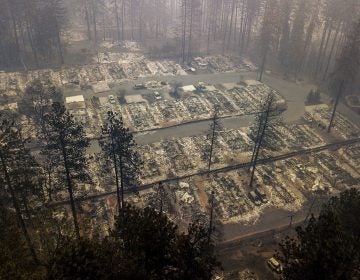 Residences leveled by the wildfire line a neighborhood in Paradise, Calif., on Thursday, Nov. 15, 2018. The California Department of Forestry and Fire Protection said Thursday the wildfire that destroyed the town of Paradise is now 40 percent contained, up from 30 percent Wednesday morning.  (Noah Berger/AP Photo)