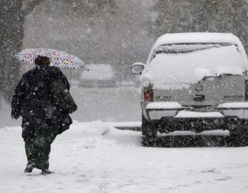 A pedestrian makes her way through wintry weather in Mt. Holly, N.J., Thursday, Nov. 15, 2018. A mix of rain, sleet and snow started falling late Thursday morning in southern areas and was expected to soon move across the state. (Seth Wenig/AP Photo)