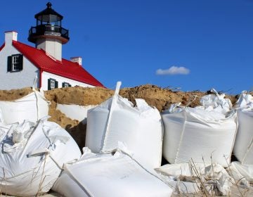 Sandbags are used to slow the erosion of the bank along the Delaware River. (Bill Barlow for WHYY)