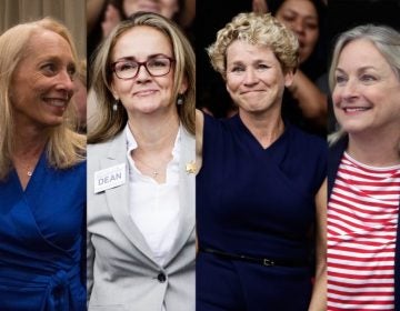 (From left) Mary Gay Scanlon, Madeleine Dean, Chrissy Houlahan, and Susan Wild, all Pennsylvania women who won their congressional bids during the 2018-midterm elections (Emily Cohen for WHYY; Matt Rourke/AP Photo; Matt Rourke/AP Photo; Jacqueline Larma/AP Photo)
