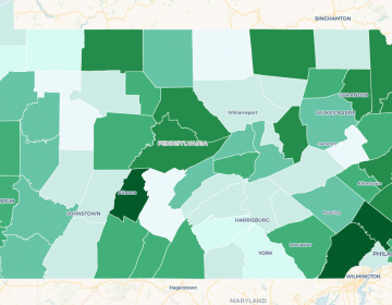 Midterm voter turnout increased up statewide in Pennsylvania from 43 percent in 2014 to 58 percent this year. (Emily Previti)