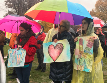 A rally took place at Point State Park Friday, November 9, 2018, to honor the victims of the Tree of Life synagogue shooting. (Virginia Alvino Young/WESA)