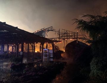 The charred remains of Willey Farms market in Townsed, Delaware, smolder early Monday morning. (Willey Farms/Facebook)