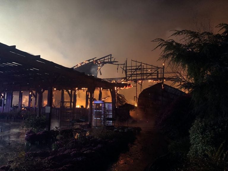 The charred remains of Willey Farms market in Townsed, Delaware, smolder early Monday morning. (Willey Farms/Facebook)