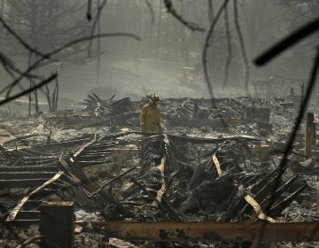 A firefighter searches a trailer park destroyed in the Camp Fire on Friday Paradise, Calif. (John Locher/AP)