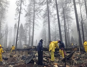 Volunteers search a mobile home park in Paradise, Calif. Government scientists predict wildfires like the one that struck this community will contribute to billions in losses for the U.S. economy (Kathleen Ronayne/AP)