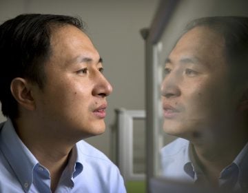 Genetics researcher He Jiankui said his lab considered ethical issues before deciding to proceed with DNA editing of human embryos to create twin girls with a modification to reduce their risk of HIV infection. Critics say the experiment was premature. (Mark Schiefelbein/AP)