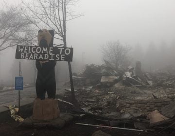 The Camp Fire started on Nov. 8 near the city of Paradise and rapidly overwhelmed the area. The city is still closed off to the public, and nearly 500 people remain missing in the region. (Bobby Allyn/NPR)