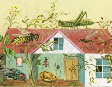 Humans would do better to accept many of the life forms that share our space, than to scrub them all away, says ecologist Rob Dunn. (Basic Books)