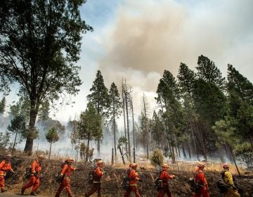 Inmate firefighters battle a California wildfire in July. Qualified inmates can volunteer to be trained in firefighting; in exchange, they are paid $2 a day and an extra $1 per hour when fighting fires. The inmate firefighters also receive sentence reductions. Inmate firefighters battle a California wildfire in July. Qualified inmates can volunteer to be trained in firefighting; in exchange, they are paid $2 a day and an extra $1 per hour when fighting fires. The inmate firefighters also receive sentence reductions.
(Noah Berger/AFP/Getty Images)
