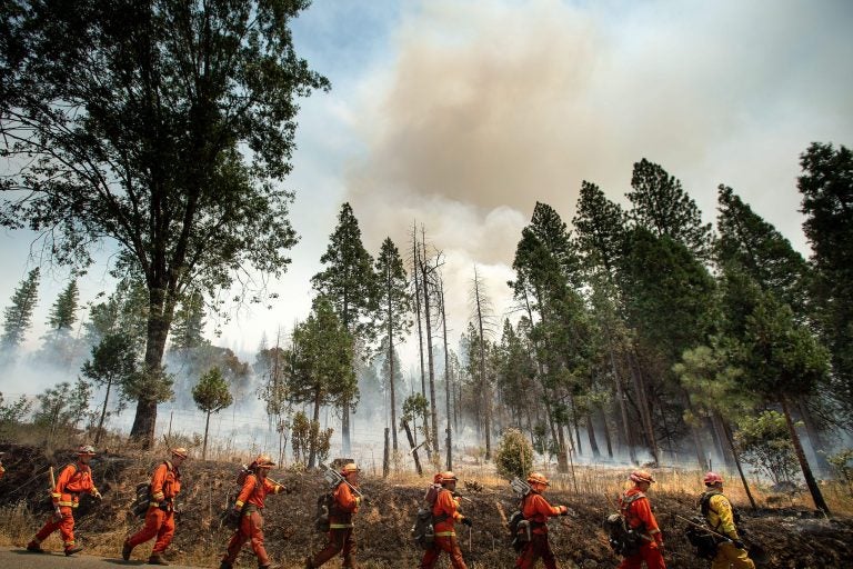 Inmate firefighters battle a California wildfire in July. Qualified inmates can volunteer to be trained in firefighting; in exchange, they are paid $2 a day and an extra $1 per hour when fighting fires. The inmate firefighters also receive sentence reductions.
(Noah Berger/AFP/Getty Images)