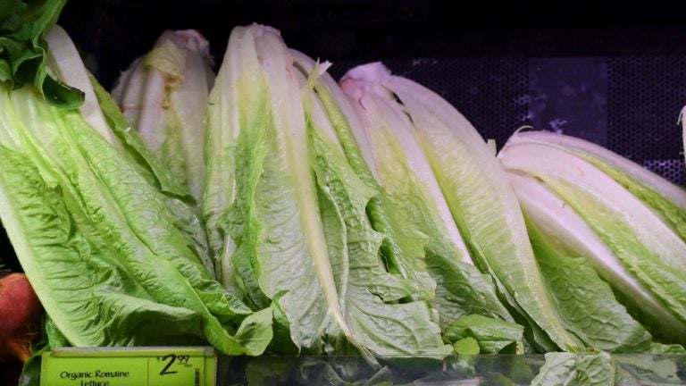 Romaine lettuce is seen on sale at a supermarket in Washington, D.C., on Nov. 20.  The Centers for Disease Control and Prevention issued a warning against all romaine lettuce just two days before Thanksgiving. Now the CDC has narrowed the source of the outbreak to California's central coast (Andrew Caballero-Reynolds/AFP/Getty Images)