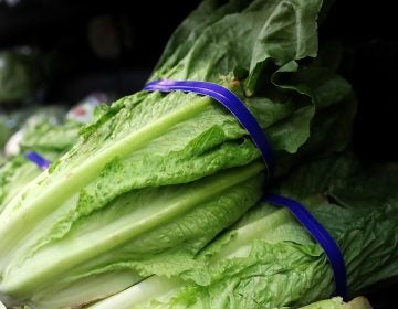 Investigators who are trying to track down the source of E. coli in romaine lettuce have seen this before. They're tracking the exact strain of bacteria that caused a small outbreak a year ago. (Justin Sullivan/Getty Images)