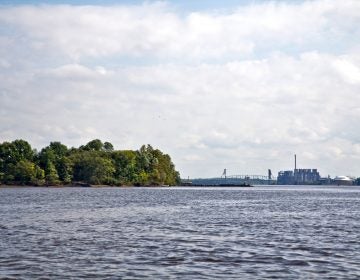 The Delaware River in 2018. (Kimberly Paynter/WHYY)