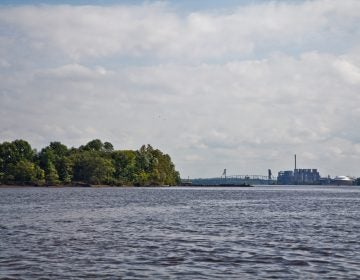 The Delaware River in 2018. (Kimberly Paynter/WHYY)