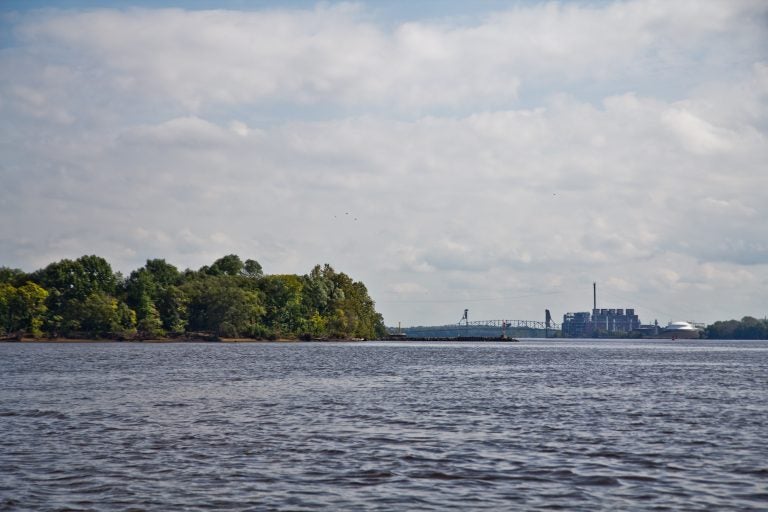 The Delaware River in 2018. (Kimberly Paynter/WHYY)