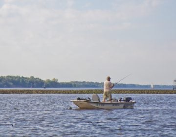 File photo: A member of the Delaware River Fishermen's Association fishes for catfish in Bucks County. (Kimberly Paynter/WHYY)