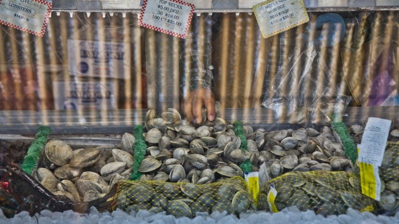 Seafood for sale at Anastasi seafood in the Italian Market. (Kimberly Paynter/WHYY)