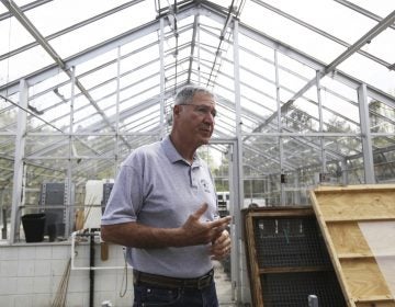 In this May 10, 2018 photo, Ray Angeli gives a tour of the facility next to the greenhouse at NEET center where hemp for research will be grown with a license from the state in Mayfield, Pa. (Jake Danna Stevens/The Times-Tribune via AP)