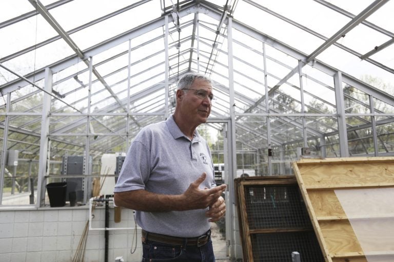 In this May 10, 2018 photo, Ray Angeli gives a tour of the facility next to the greenhouse at NEET center where hemp for research will be grown with a license from the state in Mayfield, Pa. (Jake Danna Stevens/The Times-Tribune via AP)