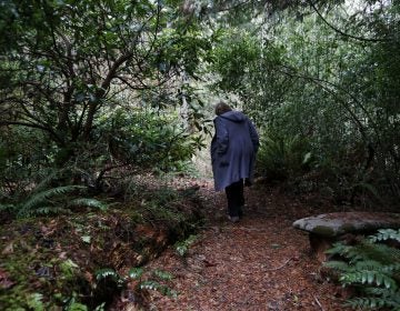 In this Monday, Dec. 10, 2018, photo, Psychologist Hilarie Cash walks on a forest path at a rehab center for adolescents in a rural area outside Redmond, Wash. The complex is part of reSTART Life, a residential program for adolescents and adults who have serious issues with excessive tech use, including video games. Disconnecting from tech and getting outside is part of the rehabilitation process. The organization, which began about a decade ago, also is adding outpatient services due to high demand. Cash is chief clinical officer and a co-founder at reSTART. (AP Photo/Martha Irvine)