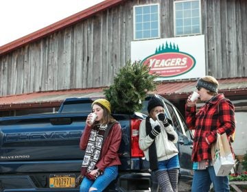 The author's family enjoying the perks of cutting down their own Christmas tree. (Photo Courtesy/Jeff Bogle)