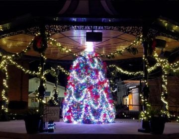 Christmas tree inside the Victorian Band Stand in Cape May, N.J. (Photo courtesy of Robert Driebe)