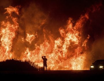 A motorists on Highway 101 watches flames from the Thomas fire leap above the roadway north of Ventura, Calif., in December 2017. Hundreds of homes were destroyed in what was then California's most destructive wildfire. (Noah Berger/AP)