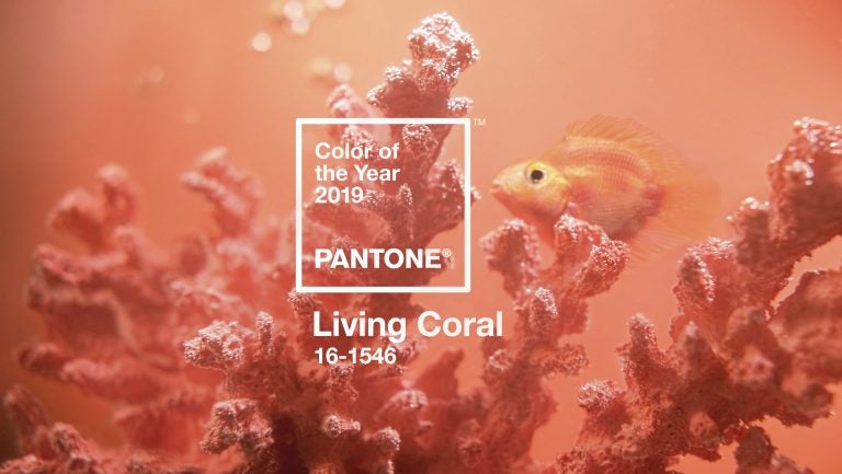 Living Coral is the Pantone Color Institute's color of the year for 2019. The vibrant hue represents 