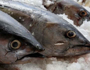 Tuna, seen on display last year at a fish market in Mexico City. The World Trade Organization dealt Mexico a defeat on appeal Friday, dismissing the country's argument that labeling regulations in the U.S. violated WTO rules.
(Henry Romero/Reuters)