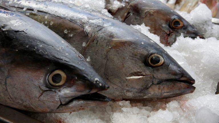 Tuna, seen on display last year at a fish market in Mexico City. The World Trade Organization dealt Mexico a defeat on appeal Friday, dismissing the country's argument that labeling regulations in the U.S. violated WTO rules.
(Henry Romero/Reuters)