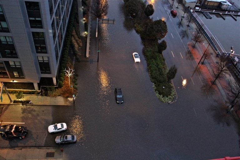 Cars are stranded on Columbus Boulevard in Philadelphia on Nov. 26, 2018, after flooding made the road impassable. (Emma Lee/WHYY)