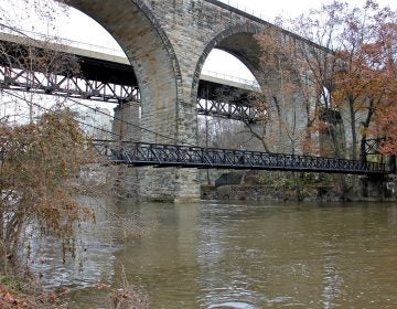 Brandywine Creek in Wilmington. (Emma Lee/WHYY)