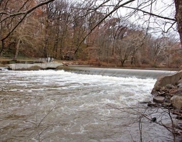 The Brandywine Creek in Wilmington, Delaware, shown here, is a tributary of the Christina River, which feeds into the Delaware River. (Emma Lee/WHYY)