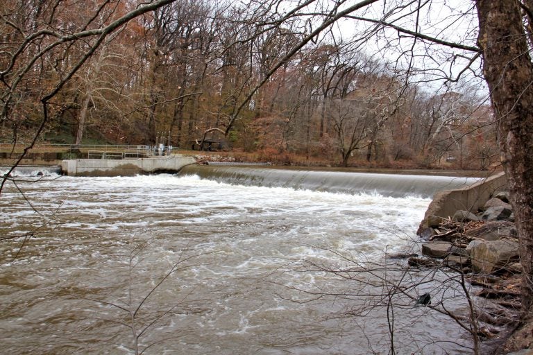 The Brandywine Creek in Wilmington, Delaware, shown here, is a tributary of the Christina River, which feeds into the Delaware River. (Emma Lee/WHYY)