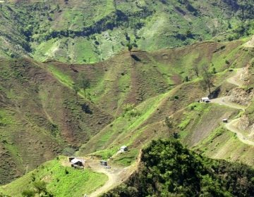 The denuded slopes of Massif de la Selle mountain range in Haiti above Jacmel, are seen Thursday June 5, 2003. Once covered with pine, cedar and juniper trees, the slopes are on their way to complete deforestation as farmers cut down trees and plant vegetables in the fragile topsoil. (Daniel Morel/AP Photo)