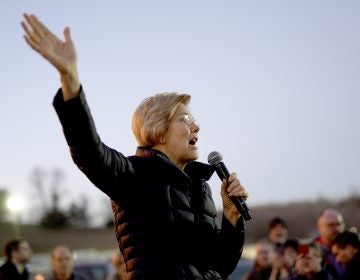 Sen. Elizabeth Warren, D-Mass, addresses an overflow crowd outside an organizing event at McCoy's Bar Patio and Grill in Council Bluffs, Iowa, Friday, Jan. 4, 2019. (Nati Harnik/AP Photo)