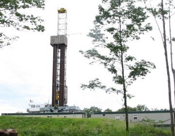 A gas well pad in the Tiadaghton State Forest. (Marie Cusick/StateImpact Pennsylvania)