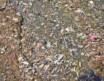 Plastic debris, including tampon applicators and straws, floats on top of sewage and stormwater at the Southwest water pollution control plant in Philadelphia. Water department officials recommend not flushing anything down the toilet except toilet paper. (Kimberly Paynter/WHYY)