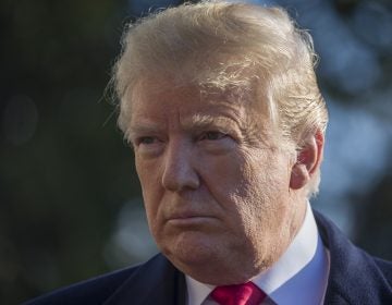 President Donald Trump tells reporters on the South Lawn of the White House that the U.S. will not withdraw its troops from Syria until the Islamic State has been defeated. (Alex Brandon/AP)