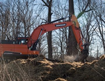 The Mariner East 2 pipeline has officially broken ground in the Delaware County town of Aston. The beginning stages of the pipeline includes clear cutting trees and preparing makeshift roads for the heavy machinery to traverse. (Emily Cohen for StateImpact Pennsylvania)