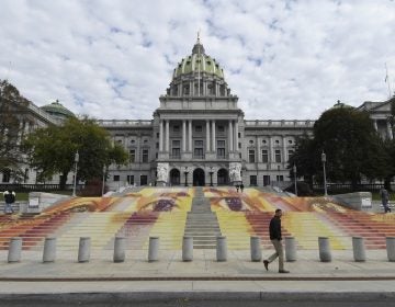 The steps of the Pennsylvania state Capitol are seen on Wednesday, Oct. 31, 2018, in Harrisburg, Pa., covered with an art installation by Michelle Angela Ortiz showing images of young mothers who were held in a facility in Pennsylvania that is one of three family detention centers in the United States that holds children and parents who are seeking asylum or entered the country illegally. (AP Photo/Marc Levy)