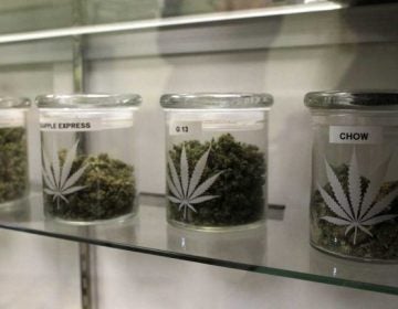 A row of jars of marijuana sit on a shelf.