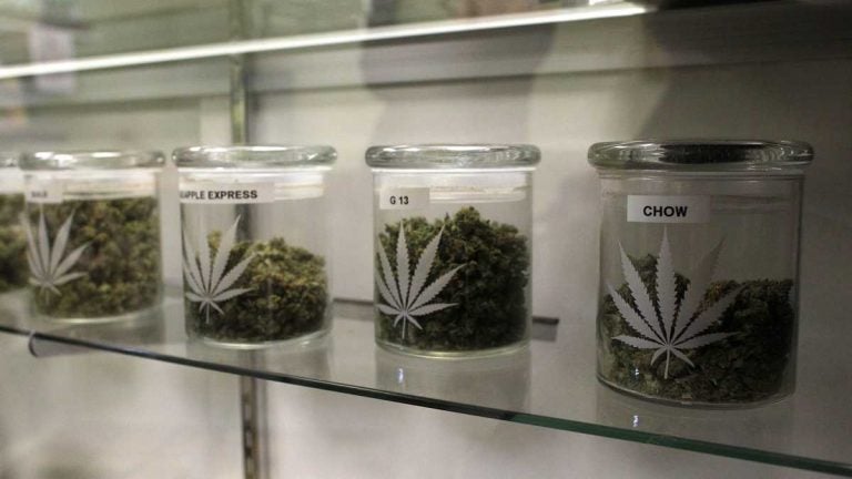 A row of jars of marijuana sit on a shelf.