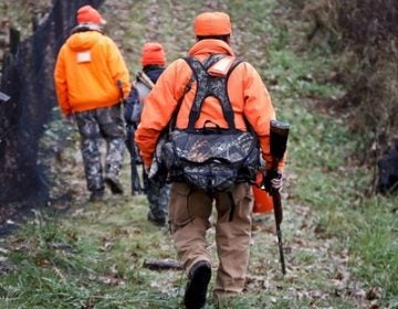 Santo Cerminaro, (right), follows his son, Dominick Cerminaro, (left), and grandson, Santo Cerminaro, 11, into the woods to go deer hunting on the first day of regular firearms deer hunting season, in most of Pennsylvania, Monday, Nov. 26, 2018 in Zelienople, Pa. (Keith Srakocic/AP Photo)