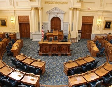 New Jersey Assembly chambers. (Emma Lee/WHYY)