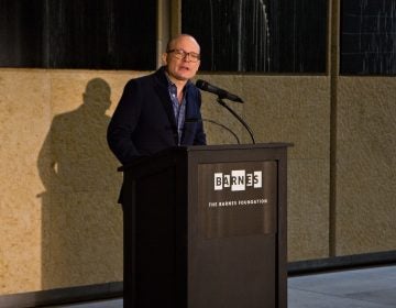 Thomas Collins is the Neubauer Family Executive Director and President at the Barnes. (Kimberly Paynter/WHYY)