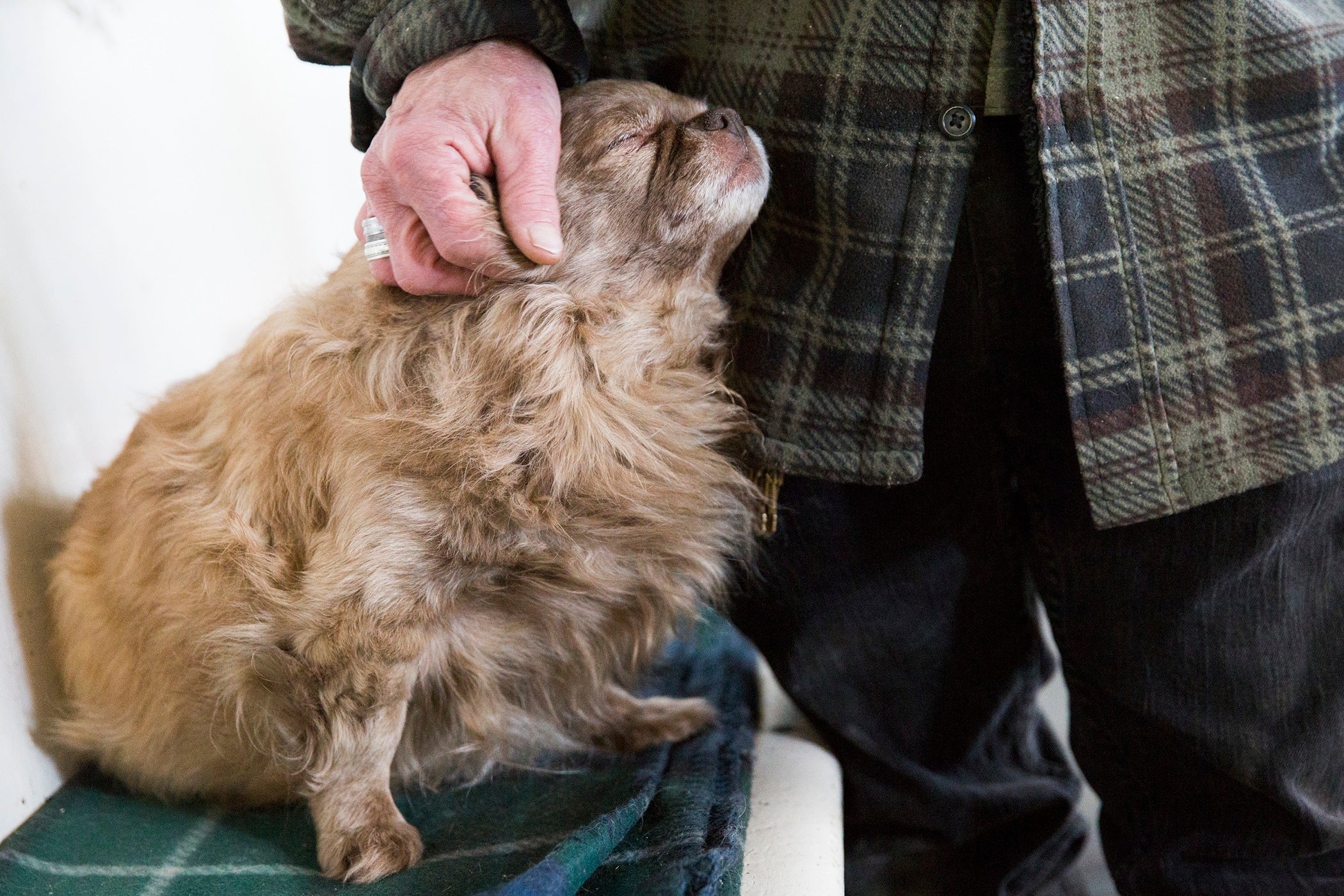 Rob pets Gizmo, a dog he rescued 18 months ago, on the morning of February 19, 2019. When he first found "Gizzy," the dog's legs were broken, he was malnourished, and was severely traumatized from abuse. Rob nursed him back to health and has slowly helped Gizmo to trust humans again. 