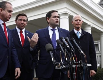 In this Jan. 22, 2019, photo, Rep. Mario Diaz-Balart, R-Fla., (left), Florida Gov. Ron DeSantis, Sen. Marco Rubio, R-Fla., and Sen. Rick Scott, R-Fla., speak to the media after their meeting with President Donald Trump about Venezuela, at the White House in Washington. (Jacquelyn Martin/AP Photo)